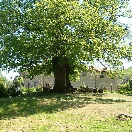 Antico Casale Pozzuolo Villa Seggiano ภายนอก รูปภาพ